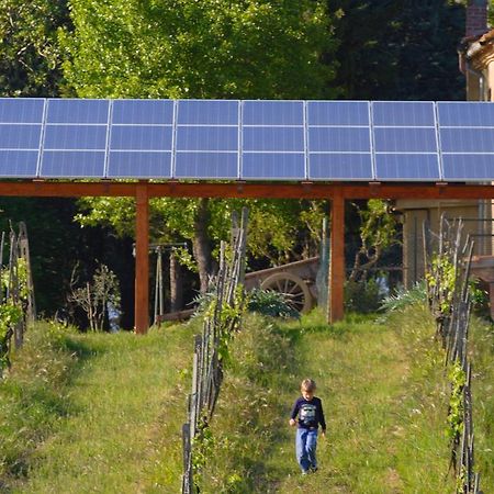Agriturismo Le Volpaie Villa San Gimignano Dış mekan fotoğraf