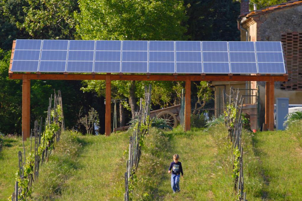 Agriturismo Le Volpaie Villa San Gimignano Dış mekan fotoğraf
